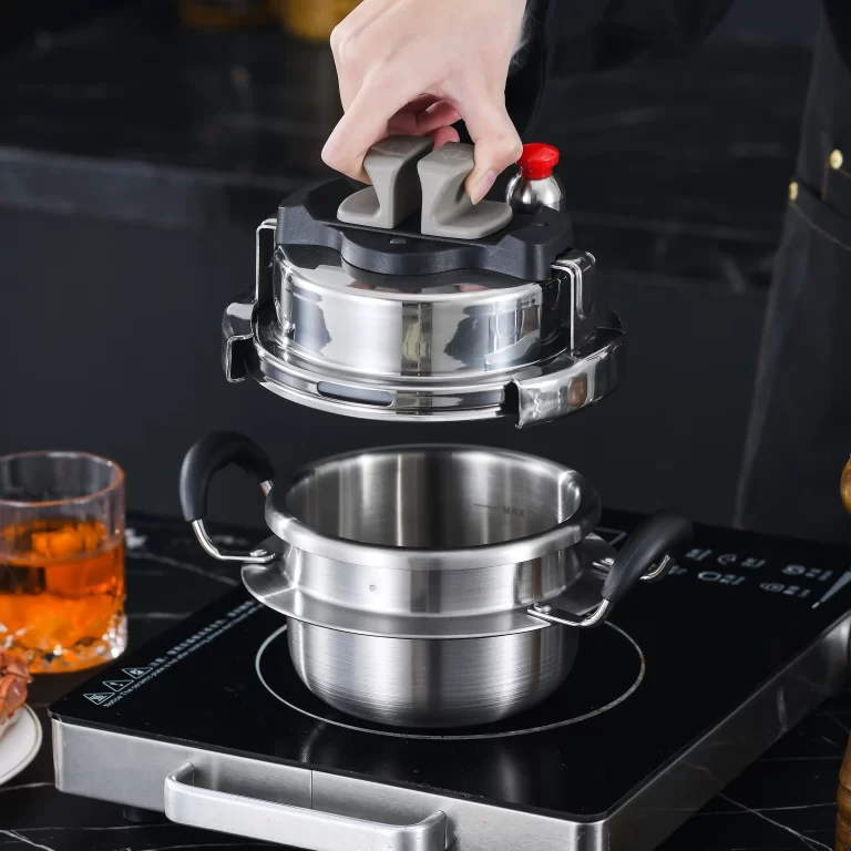 mini pressure cooker
